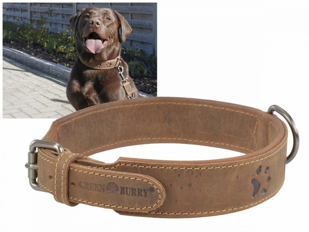 GREENBURRY Dog Neckholder 41-48cm - kožený obojok