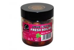 LK BAITS Fresh Boilies Amur Special Spice Shrimp 18mm 250ml